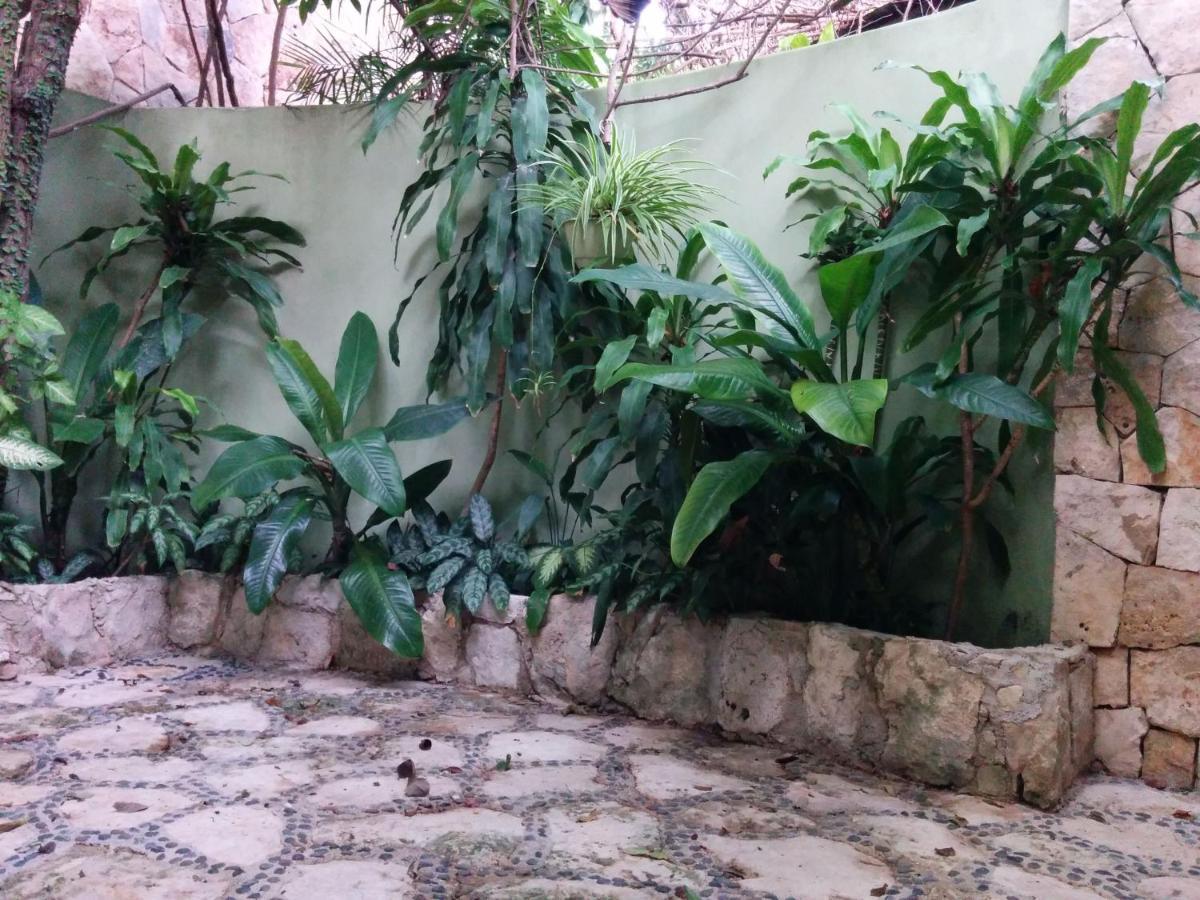 Casa Beard, Spacious Guest House With High Speed Wifi & Pool. Πλάγια Ντελ Κάρμεν Εξωτερικό φωτογραφία